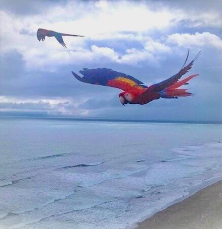 Coloso Del Mar Санкудо Экстерьер фото